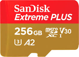 256GB SD Card