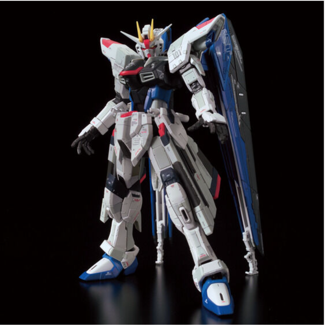Freedom Gundam Ver.GCP Base Limited RG