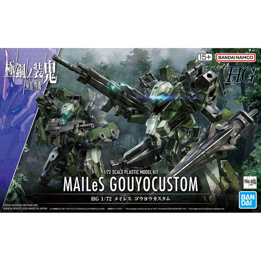 MAILeS GOUYOCUSTOM Model Kit