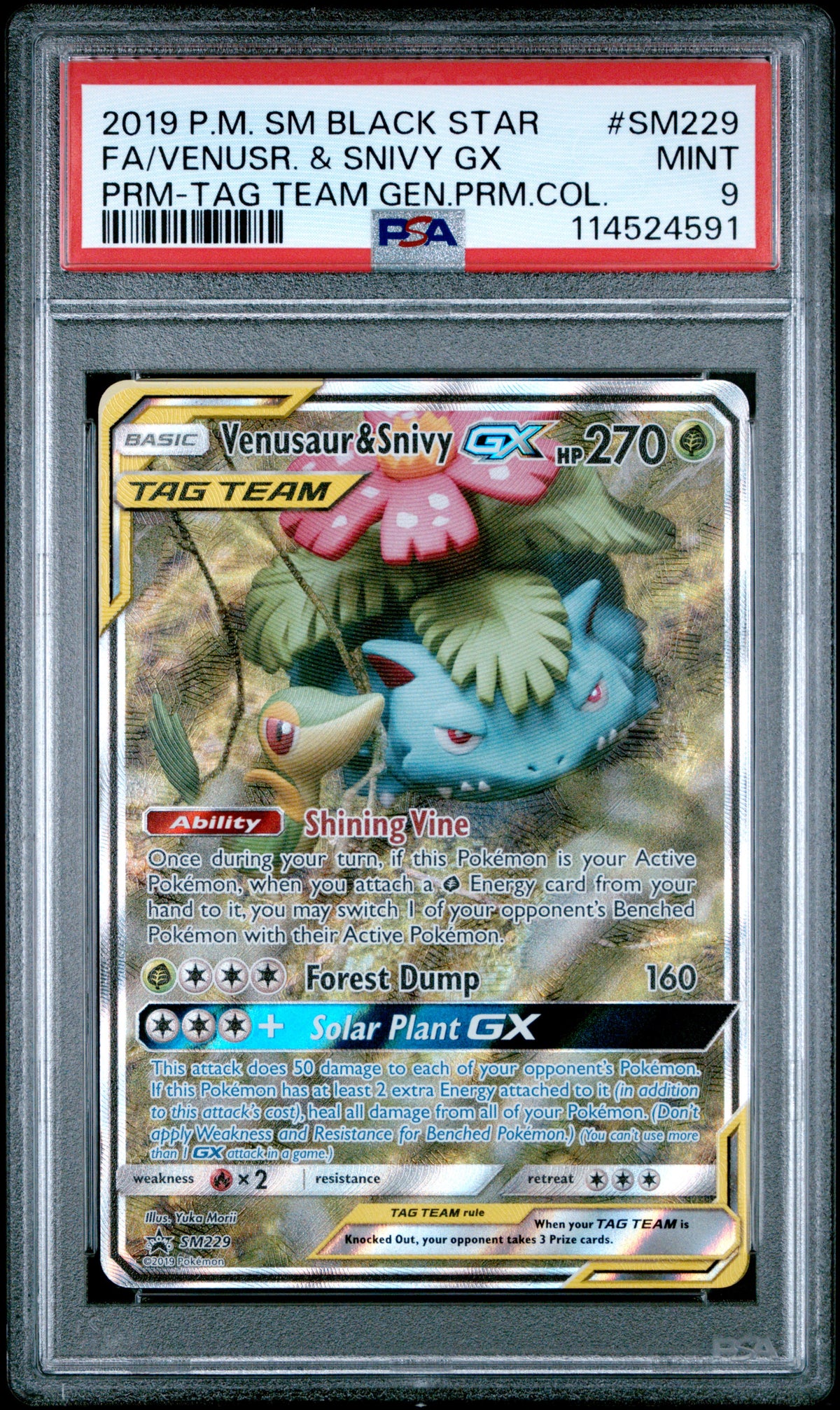 Venusaur & Snivy Gx SM229 Tag Team Pokemon PSA 9