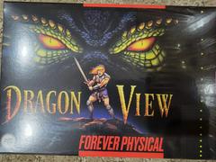 Dragon View [Limited Run] - Super Nintendo