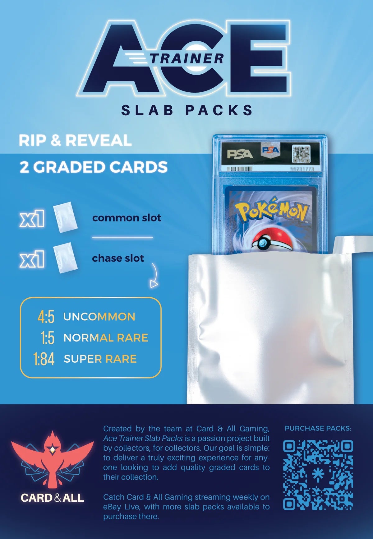 Ace Trainer Slab Pack - Standard (2 Pack)