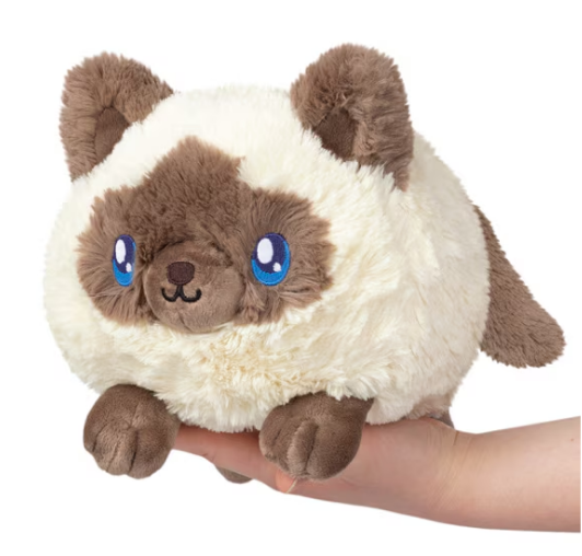 Mini Squishable Colorpoint Kitty