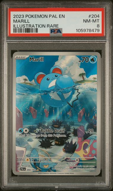 PSA 8 Marill 204/193 Paldea Evolved Illustration Rare