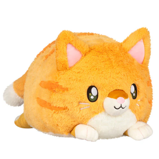 Squishable Kitty